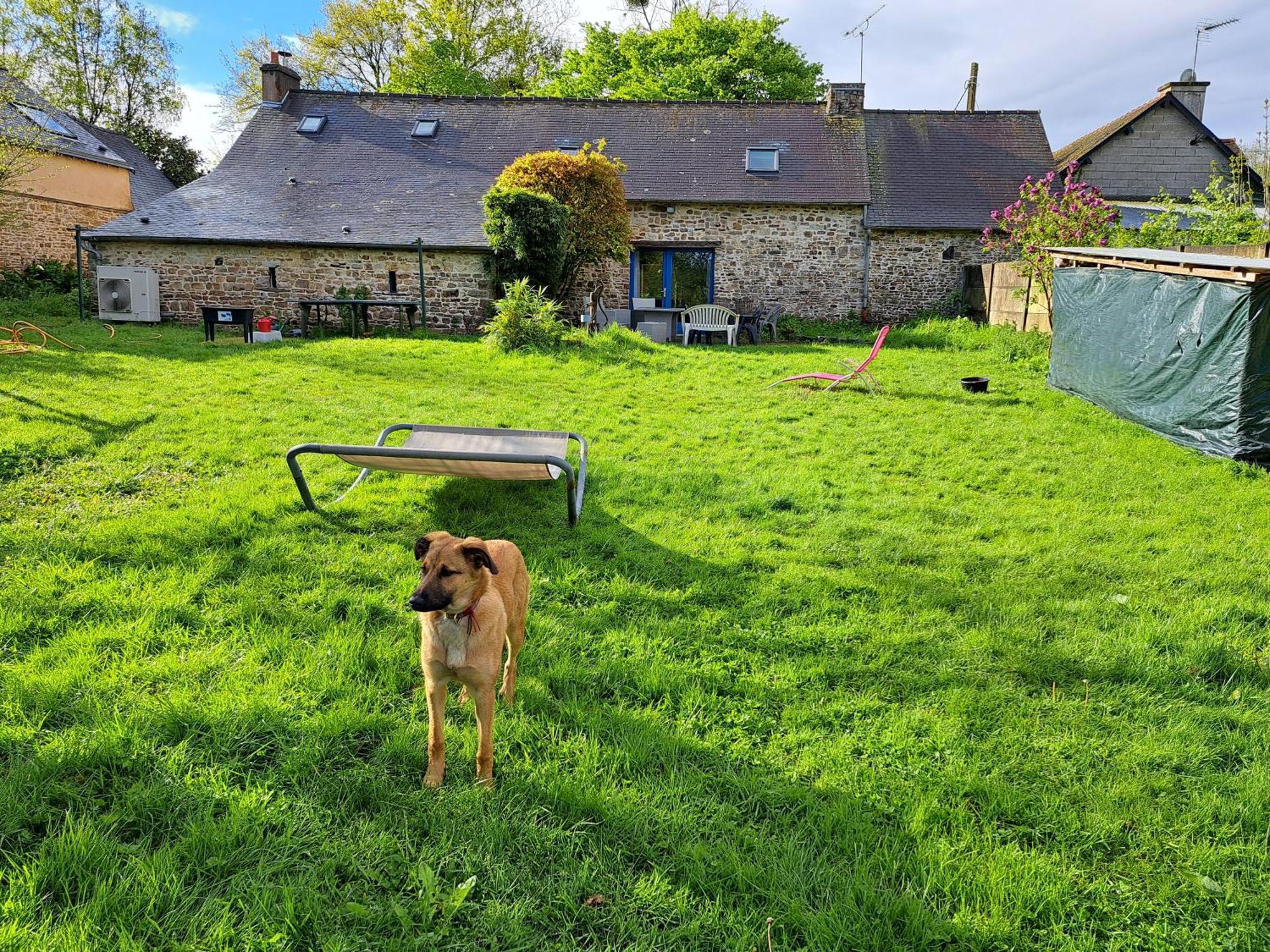 Séjour chez l'habitant Un Petit Coin De Paradis Pres De Rennes